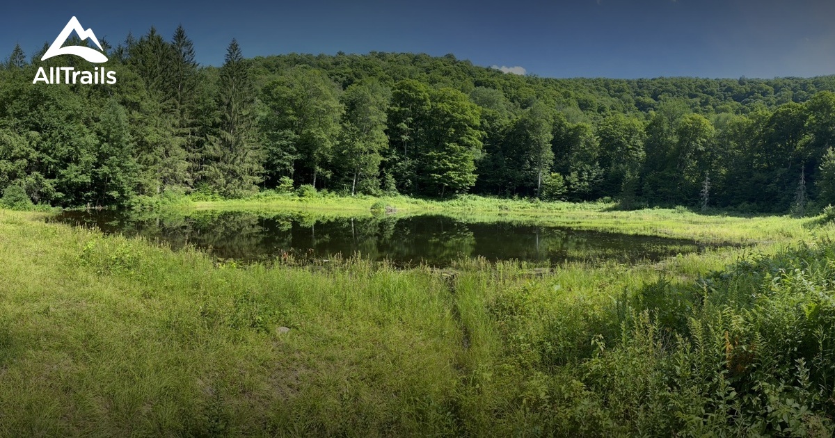 10 Best Trails and Hikes in Margaretville AllTrails