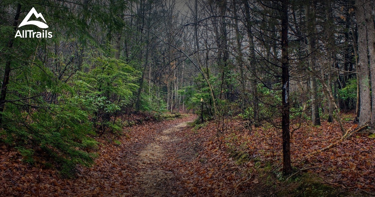 Best Hikes and Trails in Melville AllTrails