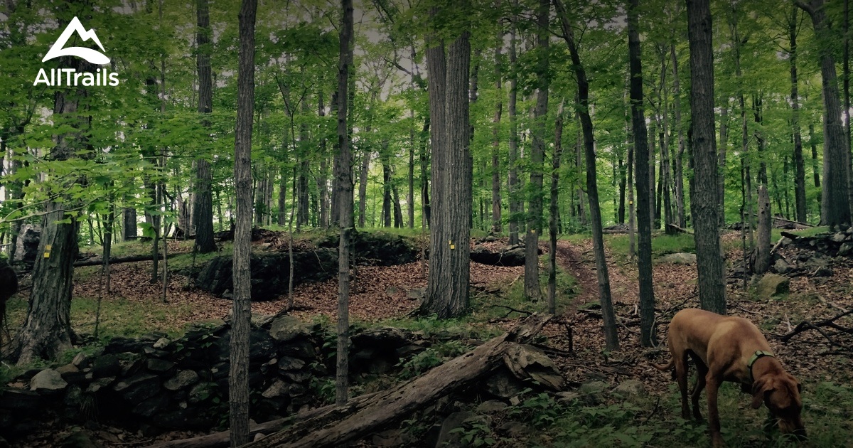 Best Trails near Mount Kisco, New York AllTrails