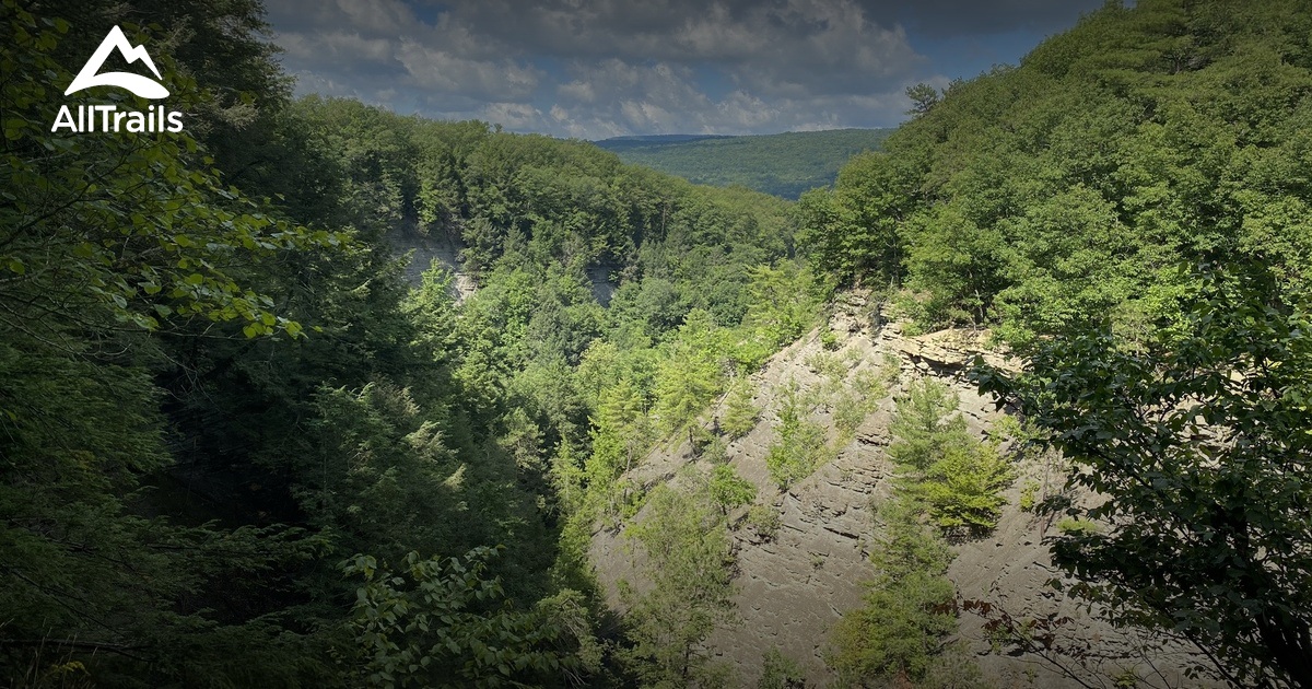 10 Best Trails and Hikes in Naples AllTrails