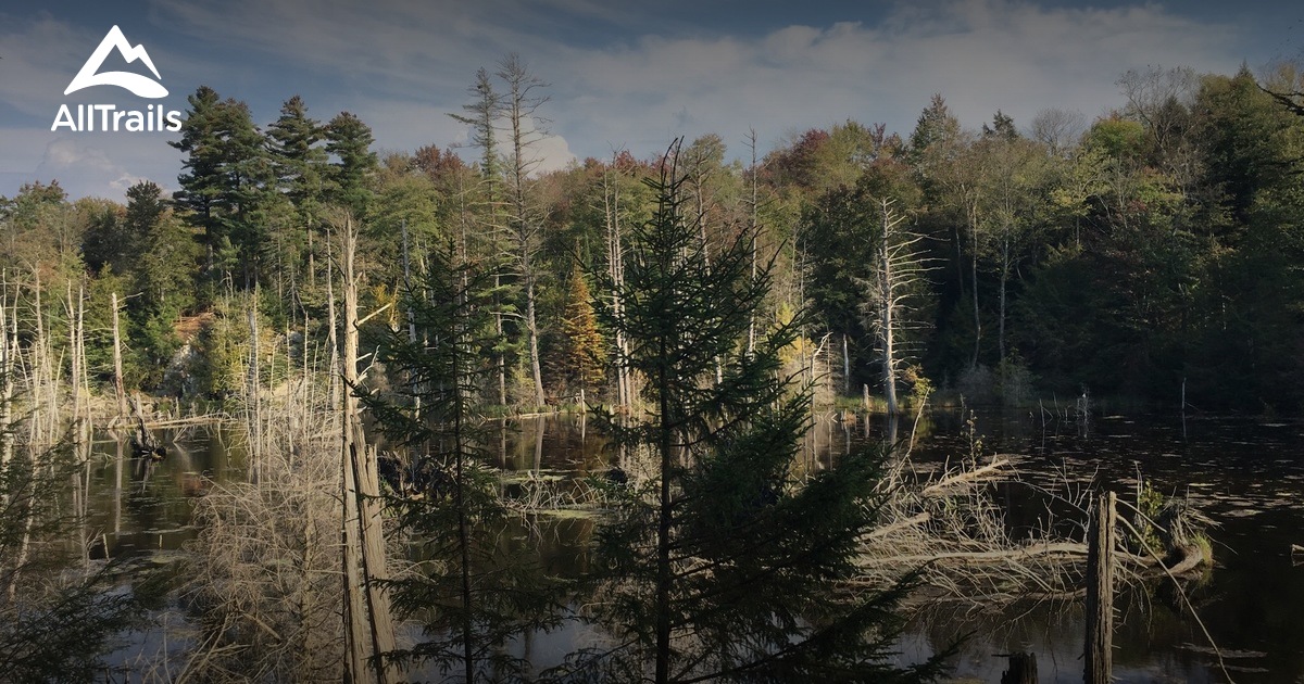 Best hikes and trails in Natural Bridge AllTrails