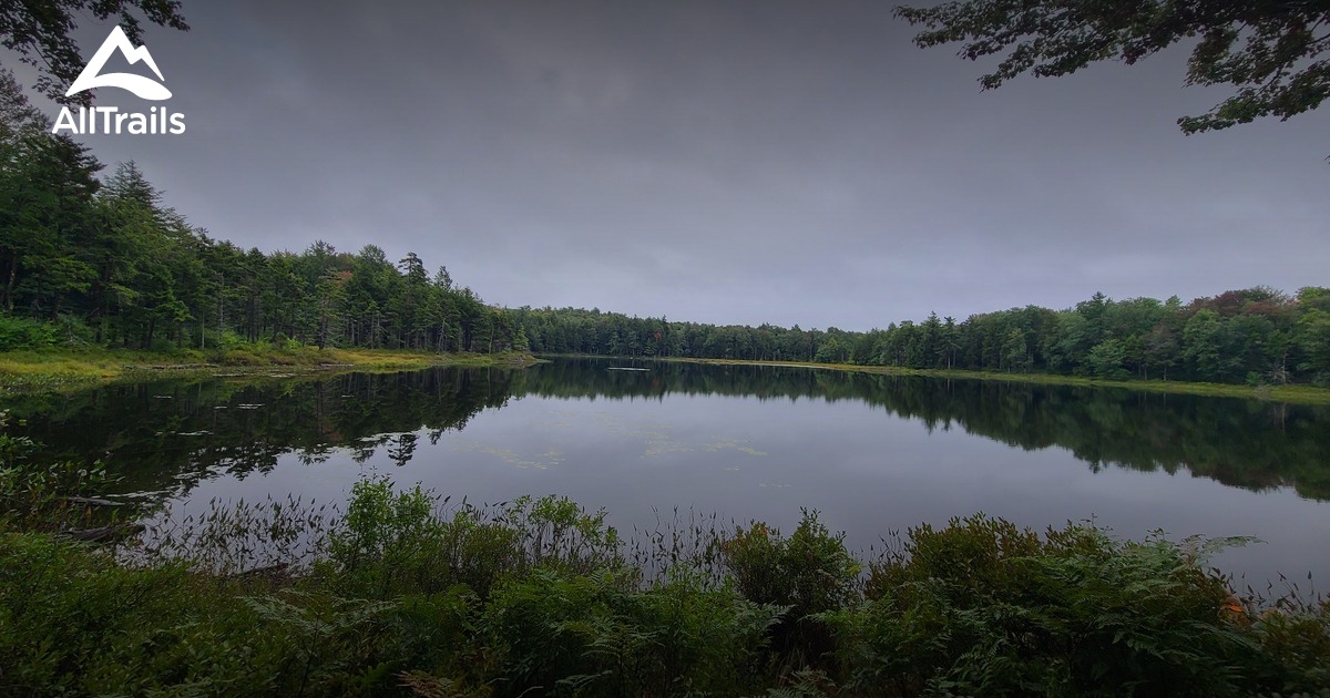 10 Best Trails and Hikes in Otter Lake AllTrails