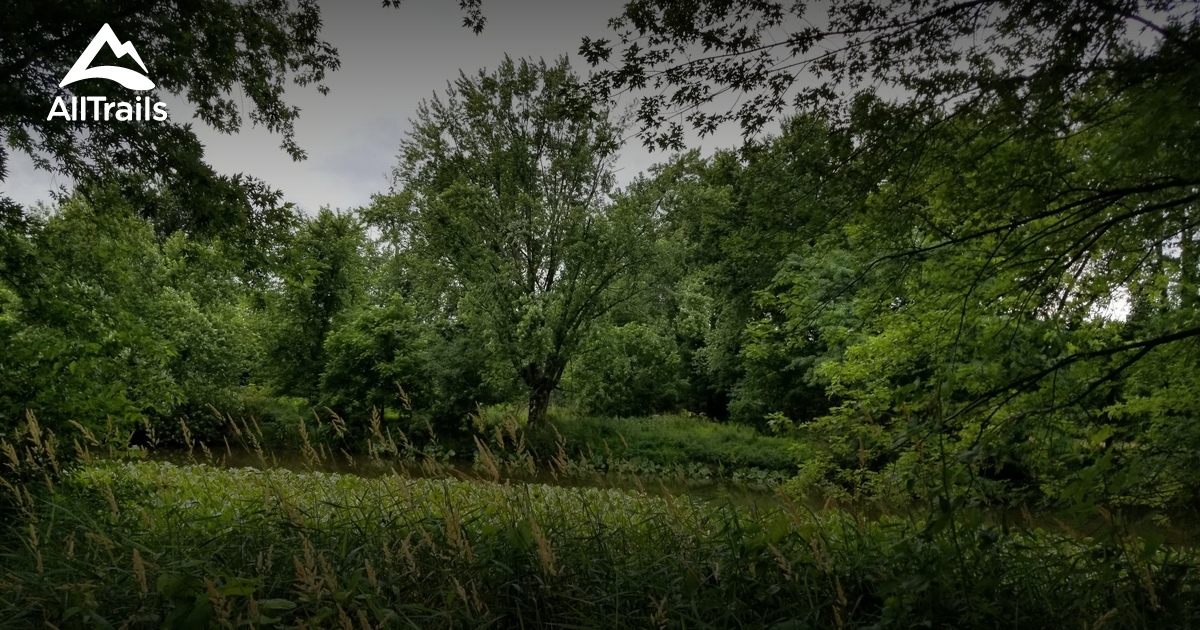 Best Hikes and Trails in Pine Island AllTrails