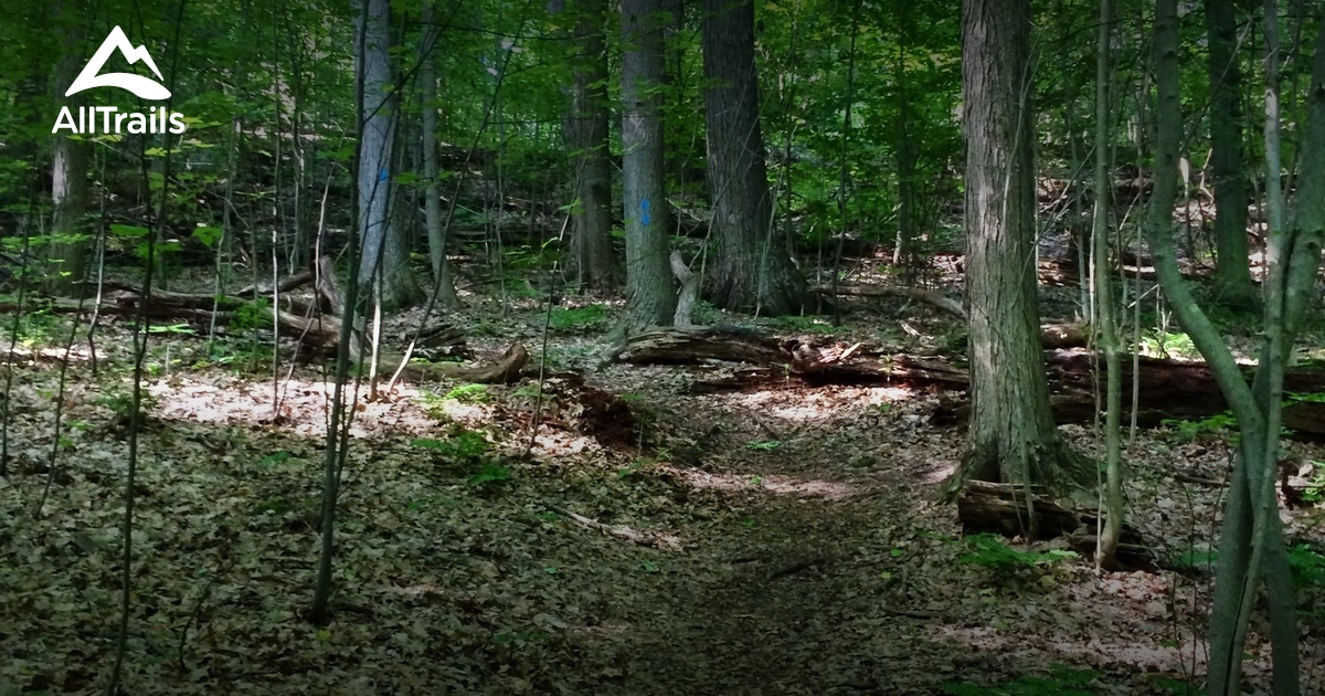 Best Trails near Pittsford, New York