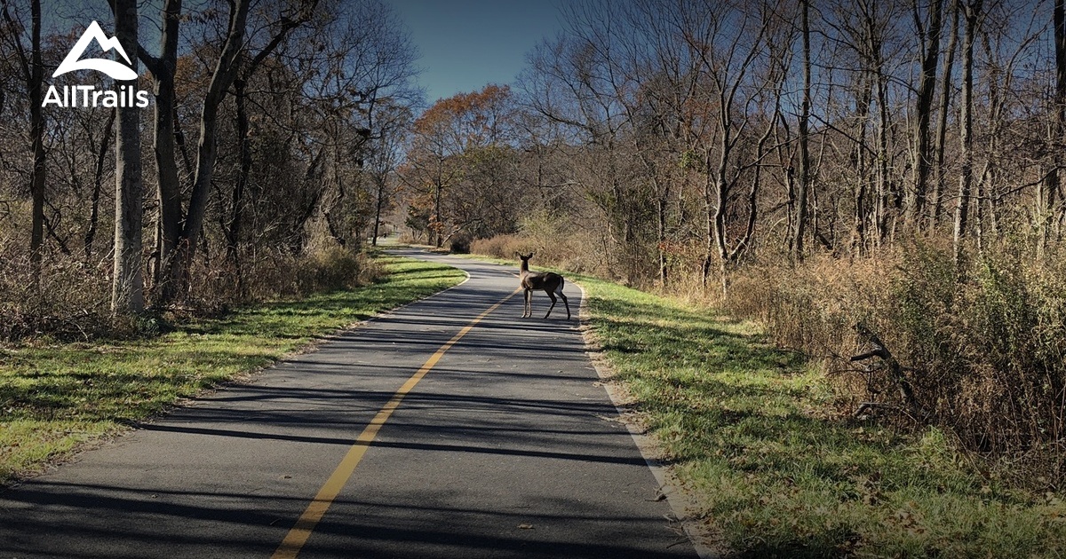 Best Road Biking Trails in Port Jefferson Station AllTrails