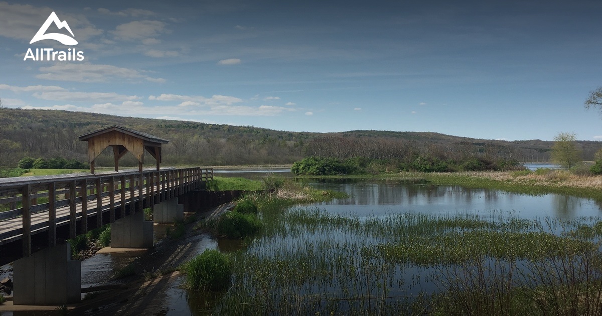 Best Trails near Savona, New York AllTrails