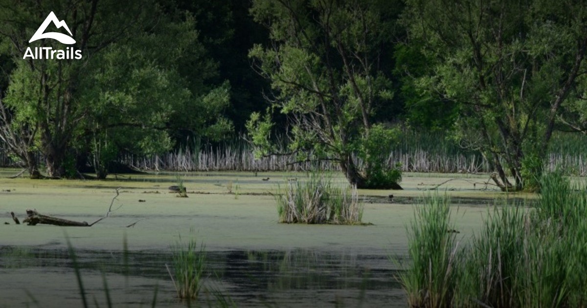 Best Trails near Utica, New York AllTrails