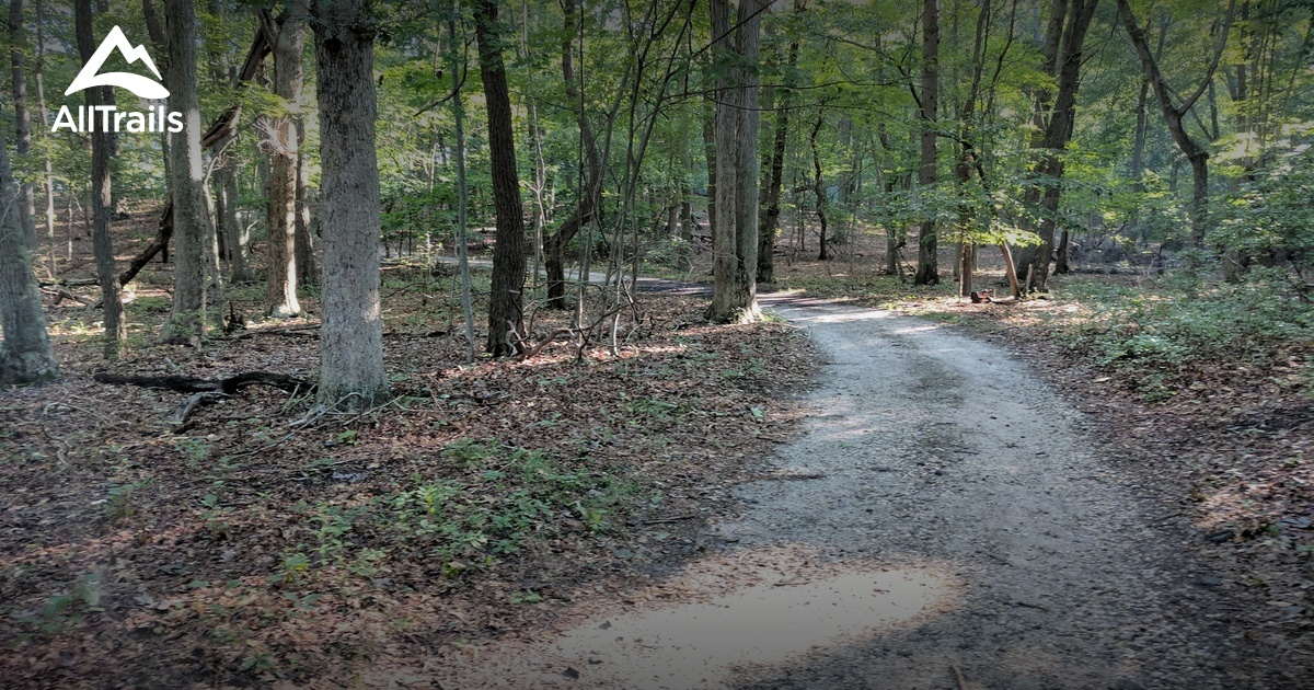 Best Walking Trails in Wading River AllTrails