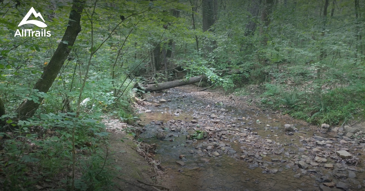 10 Best trails and hikes in Asheboro AllTrails