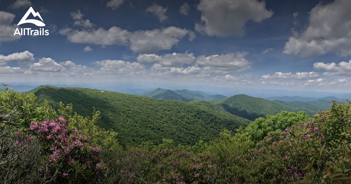Best Trails near Barnardsville, North Carolina AllTrails