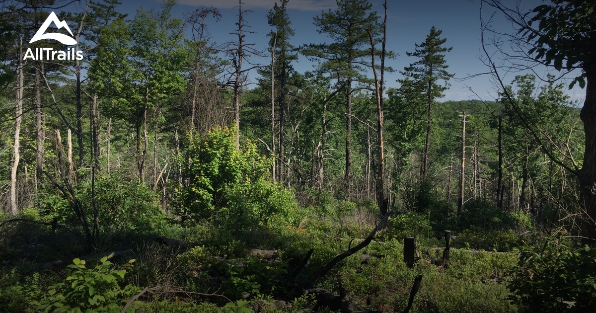 Best Trails near Bostic, North Carolina AllTrails