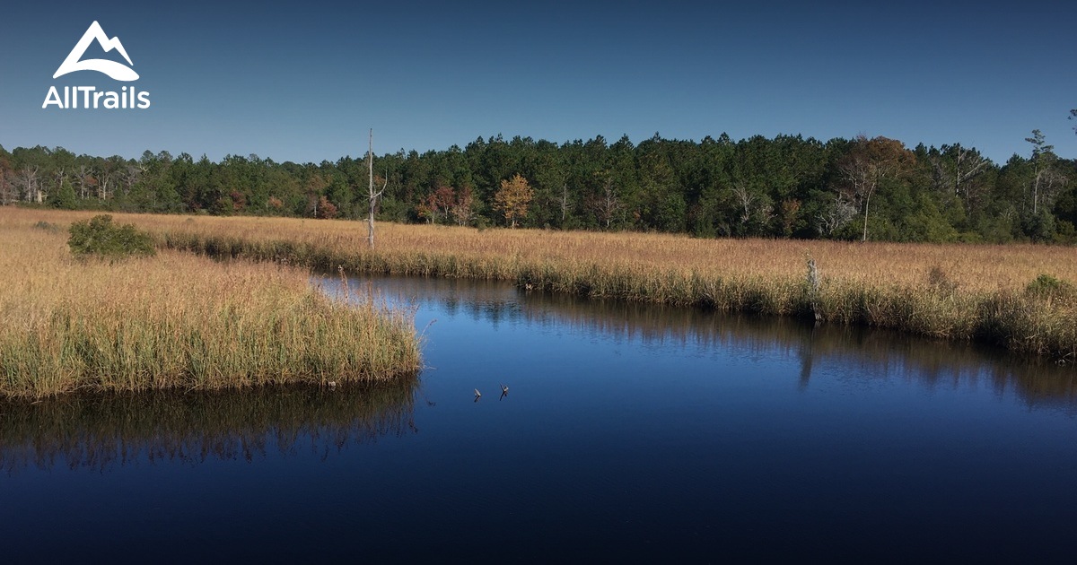 2023 Best Wild Flowers Trails in Bridgeton AllTrails