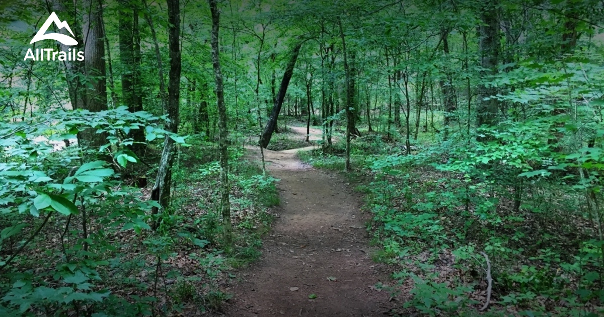 10 Best Trails and Hikes in Chapel Hill AllTrails