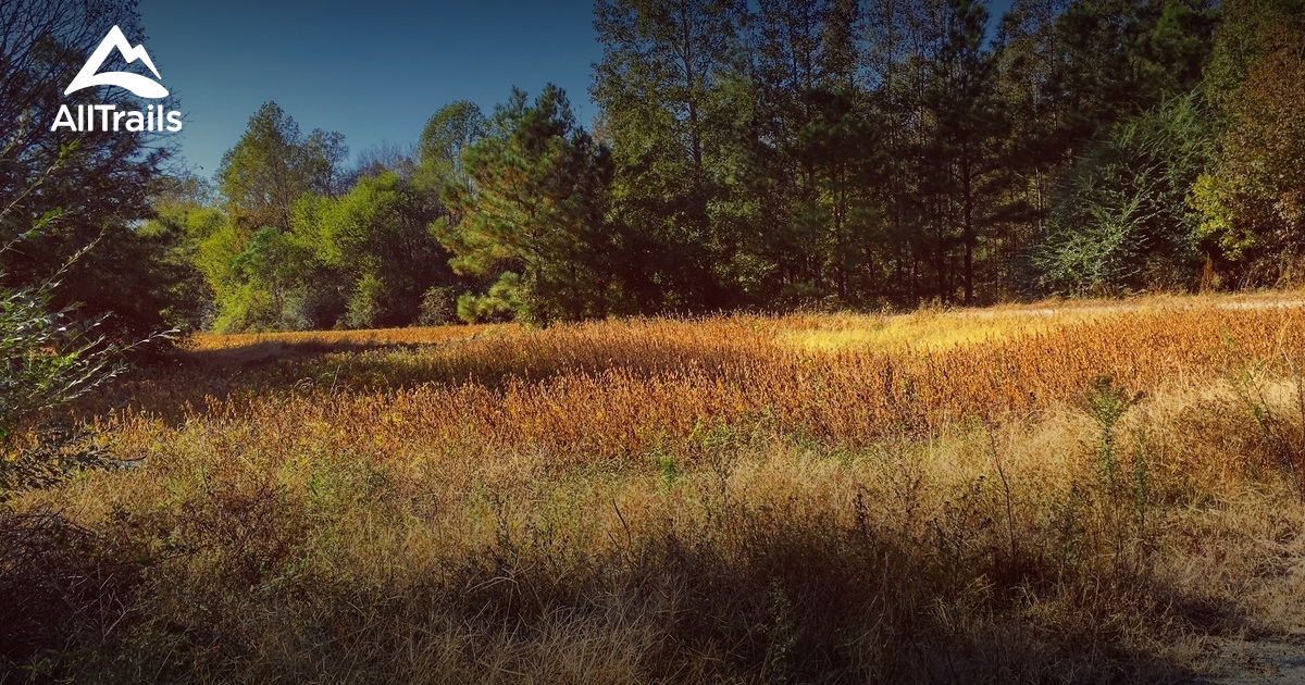 Best trails in Erwin, North Carolina AllTrails