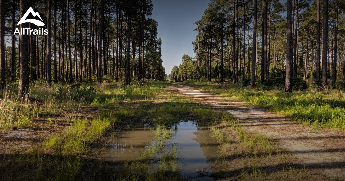 Best Trails near Fort Bragg, North Carolina AllTrails