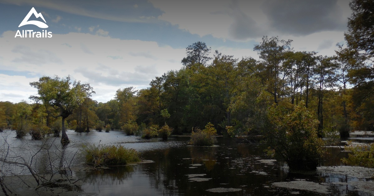 Best Trails near Gatesville, North Carolina AllTrails
