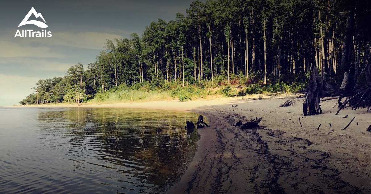 Best Trails near Havelock North Carolina 134 Photos & 64 Reviews