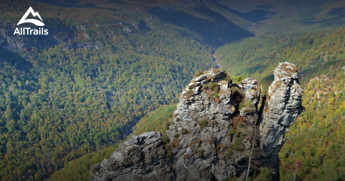 Best Trails near Jonas Ridge, North Carolina AllTrails