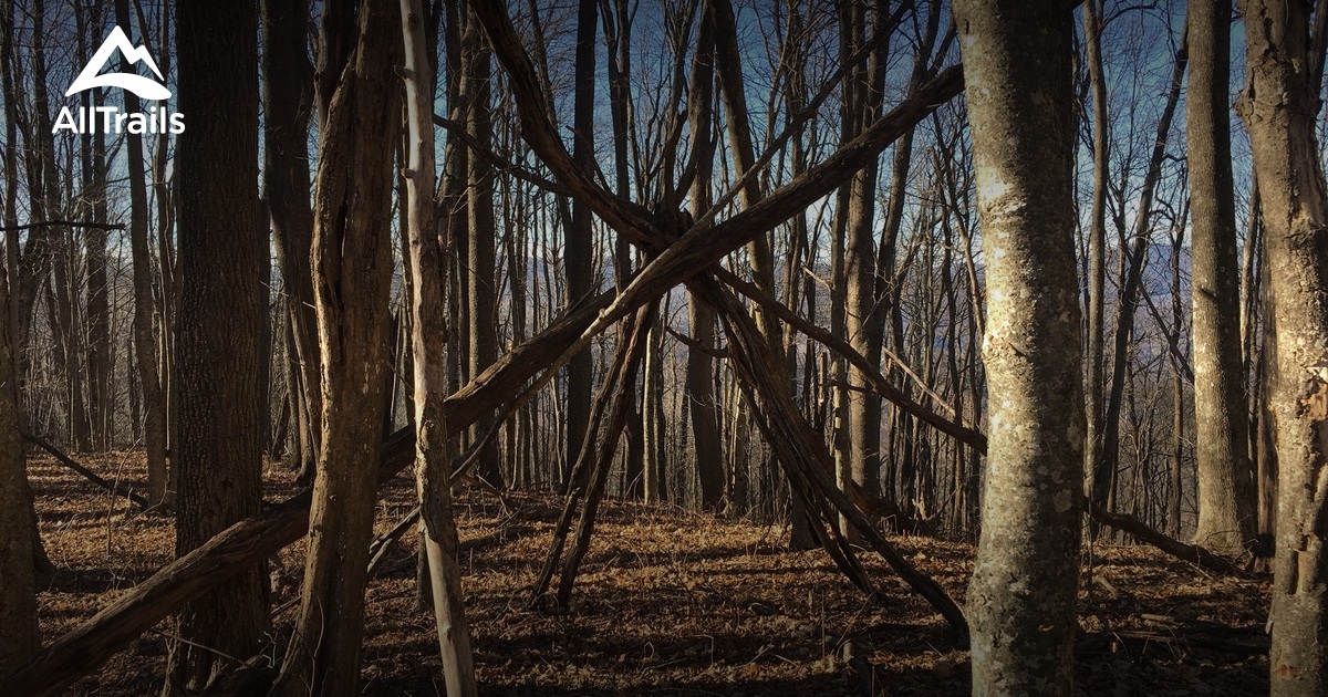 Best Trails near Mars Hill, North Carolina AllTrails