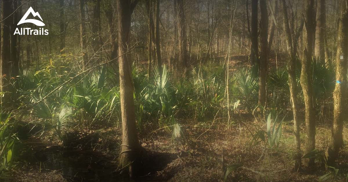 Best trails in Maysville, North Carolina AllTrails