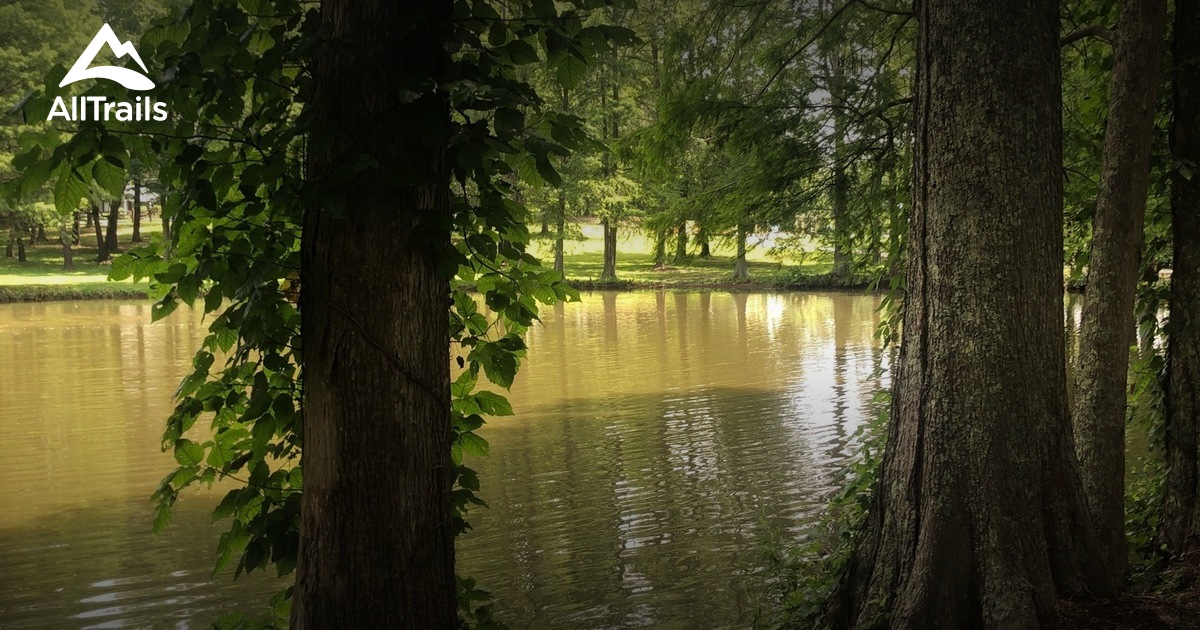 Best Hikes and Trails in McLeansville AllTrails