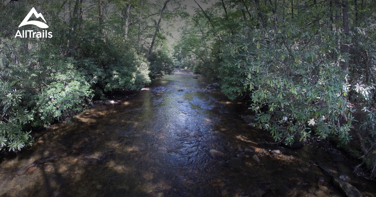 Best Hikes and Trails in Mills River AllTrails
