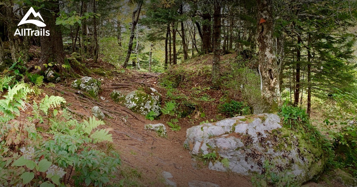 Best Trails near Montreat, North Carolina AllTrails