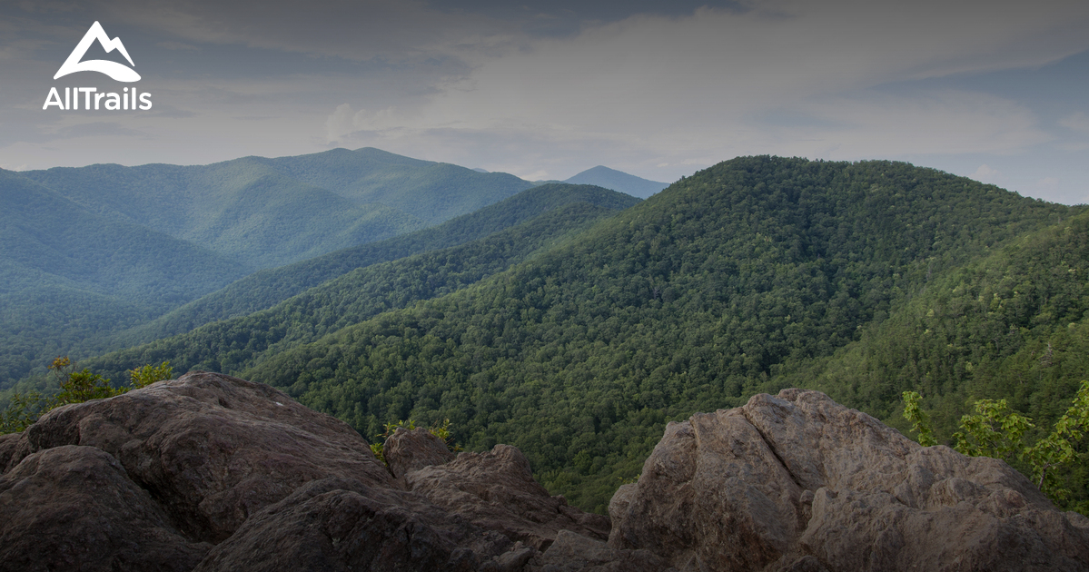 10 Best Trails and Hikes in Montreat AllTrails