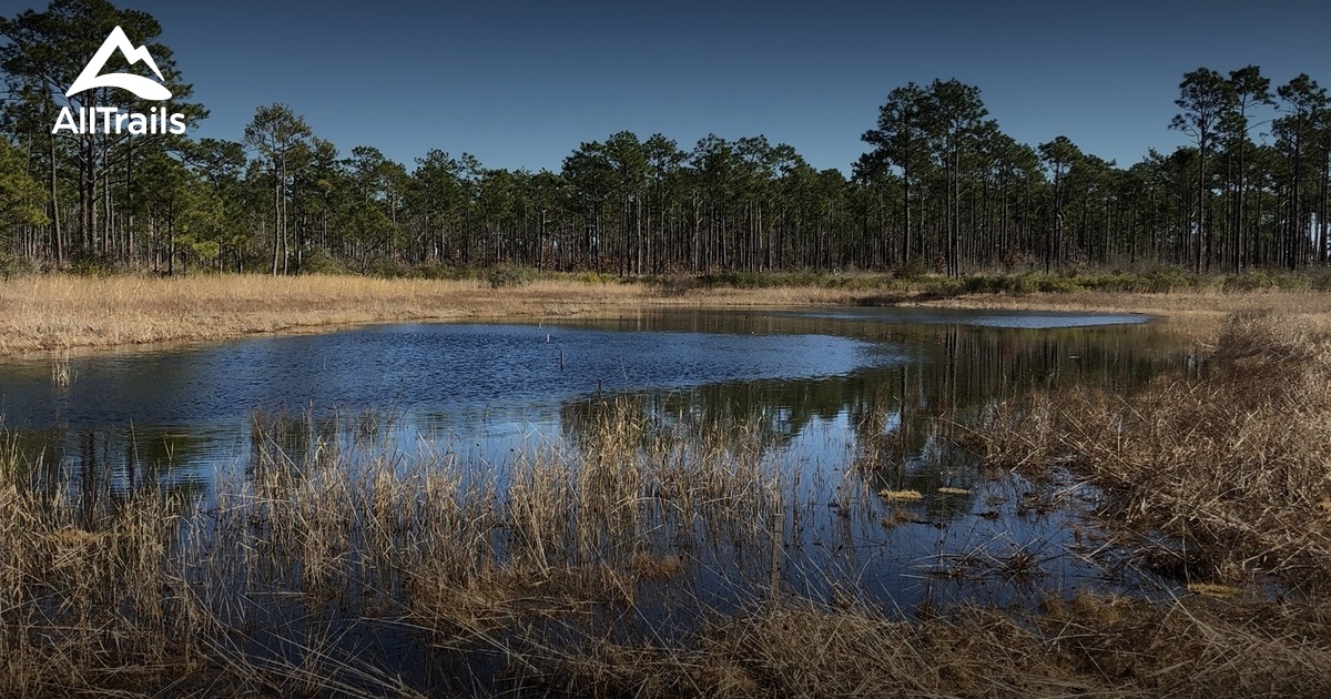 Best Trails near Newport, North Carolina AllTrails