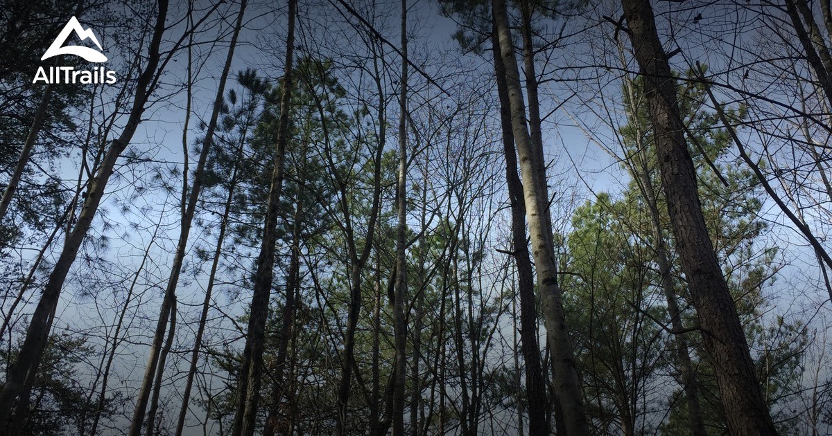 Best hikes and trails in Oak Ridge AllTrails