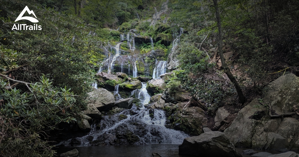 10 Best Trails and Hikes in Old Fort AllTrails