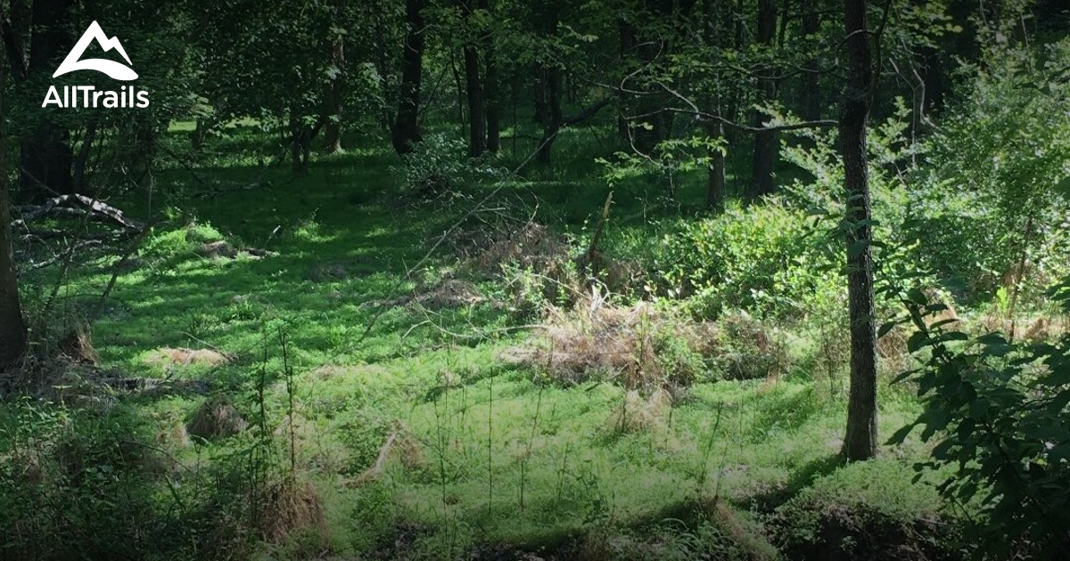 Best Hikes and Trails in Rolesville AllTrails