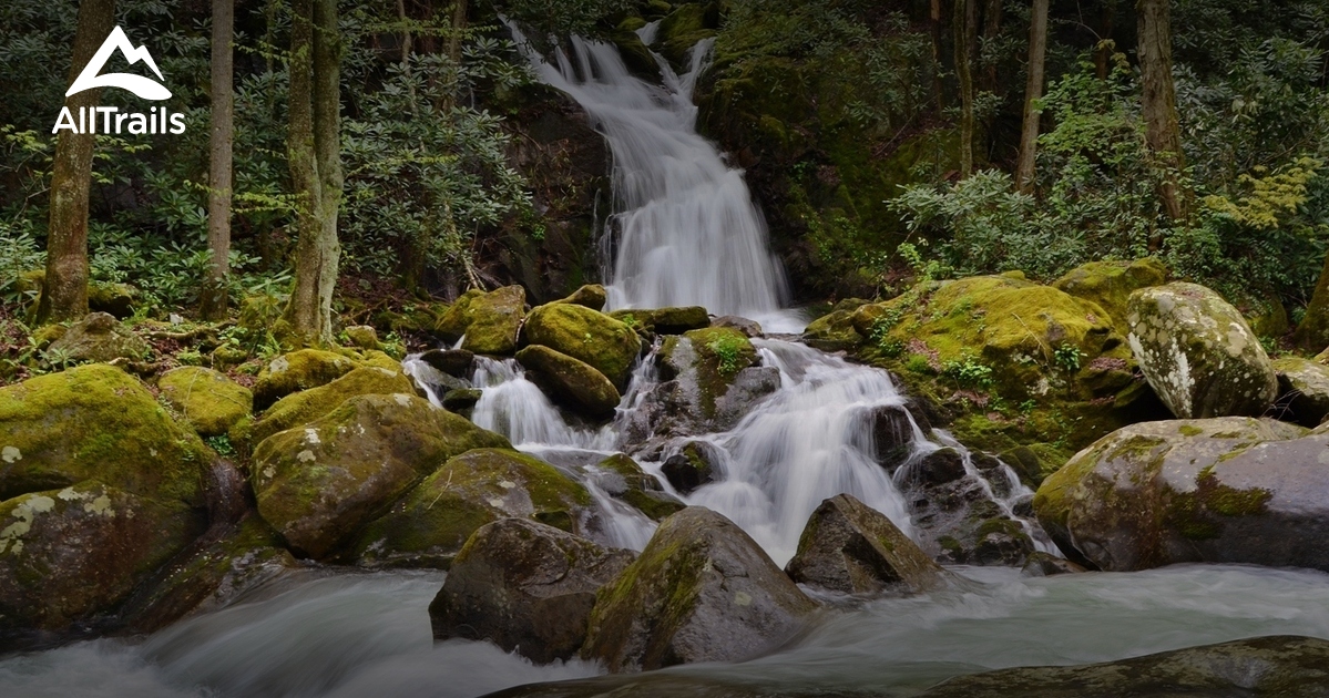 Best Waterfall Trails in Waynesville AllTrails