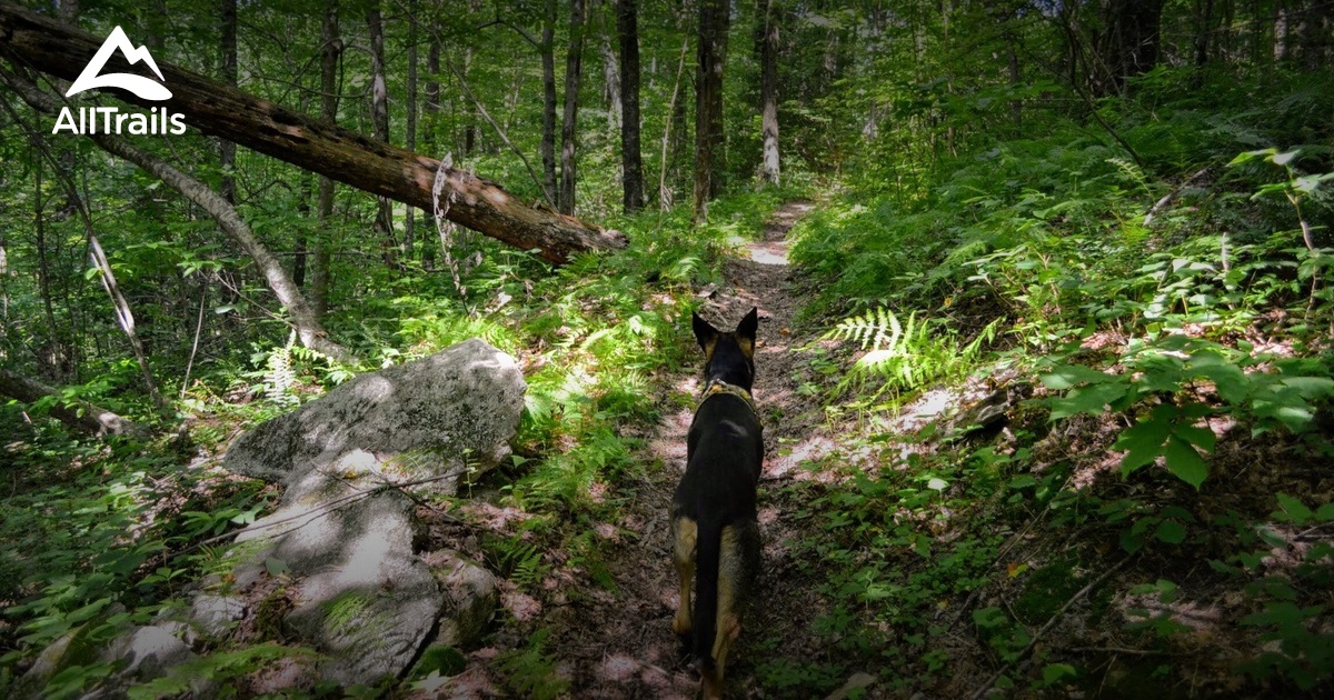 Best hikes and trails in Zirconia AllTrails