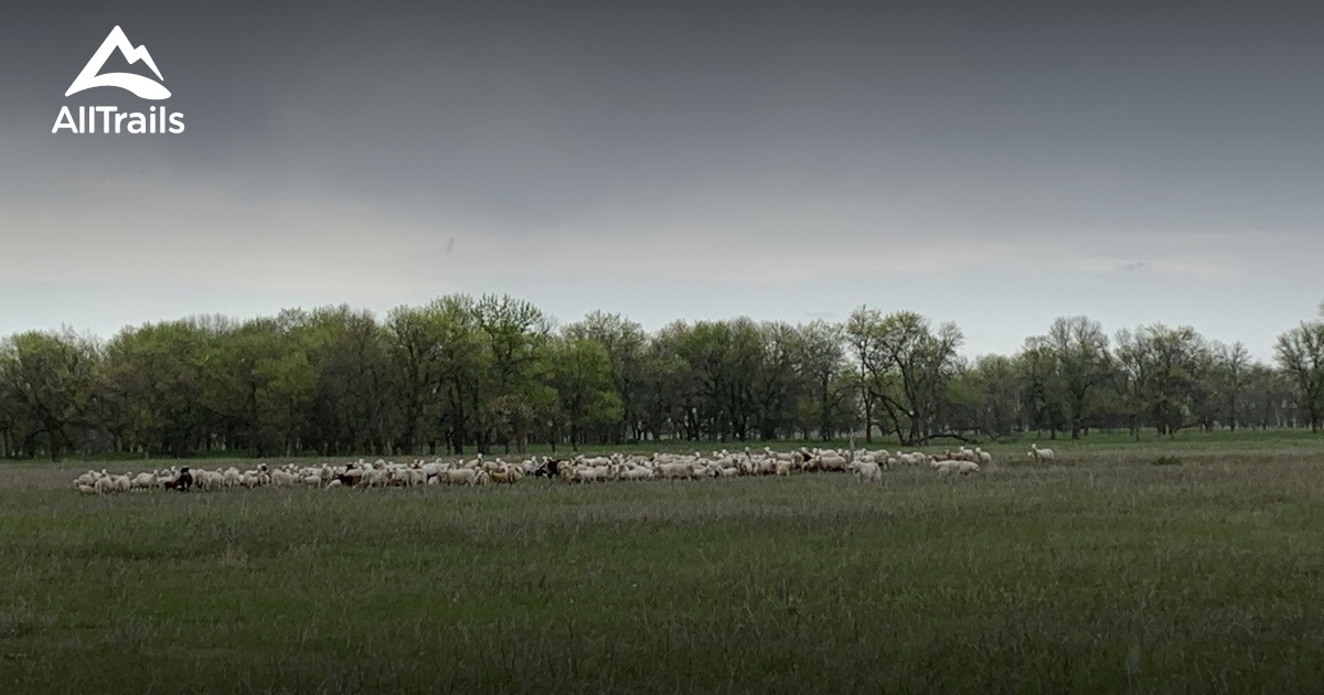 2023 Best Views Trails in McLeod AllTrails