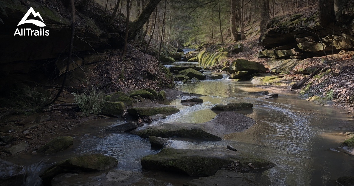 Best Hikes and Trails in Beallsville AllTrails
