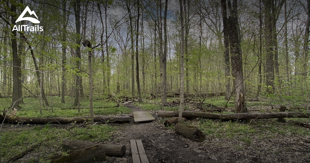 Best Hikes and Trails in Coldwater AllTrails