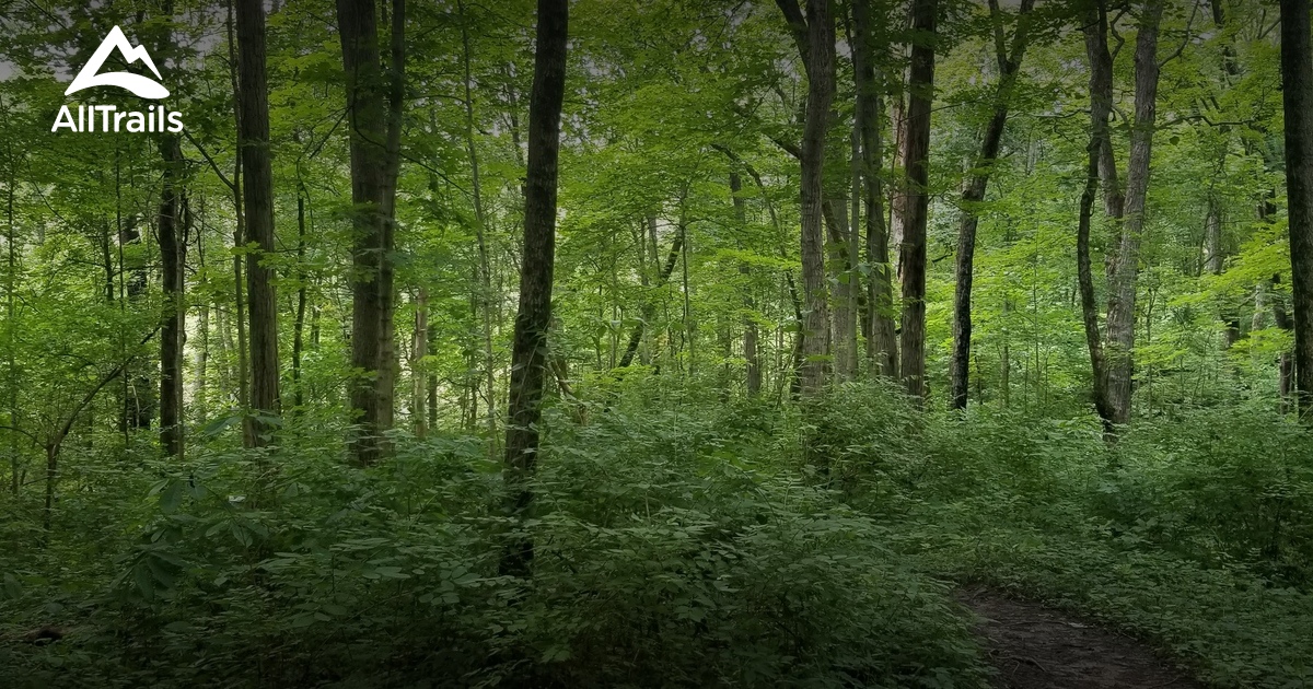 10 Best Trails and Hikes in Dayton AllTrails