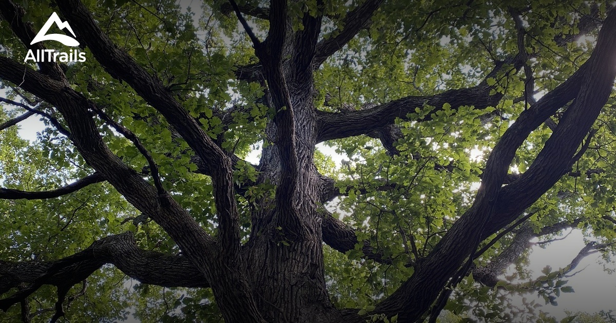 Best Walking Trails in Northwood AllTrails