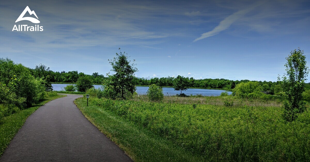 Best Forest Trails in Spencer AllTrails