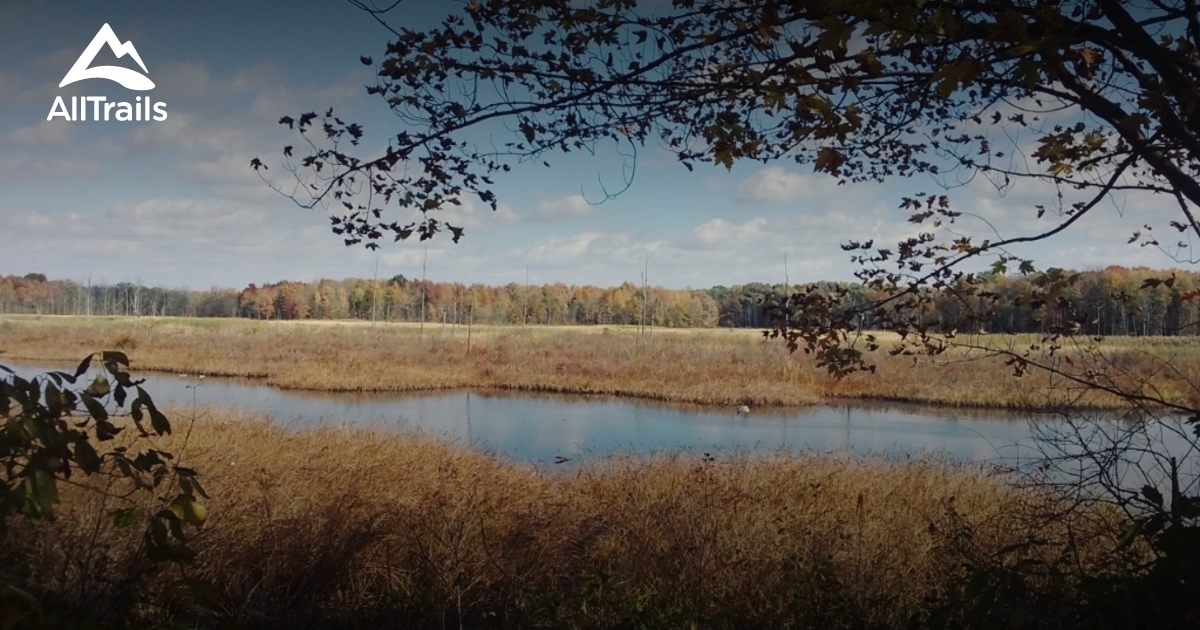 Best Trails near Streetsboro, Ohio AllTrails