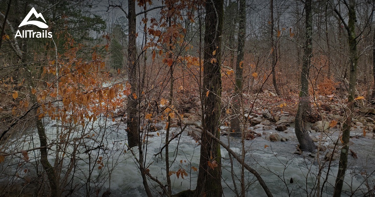 Best Hikes and Trails in Big Cedar AllTrails