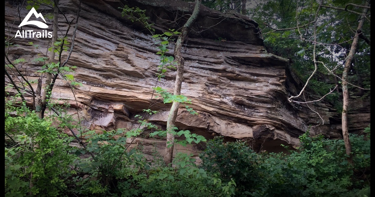 Best hikes and trails in Collinsville AllTrails