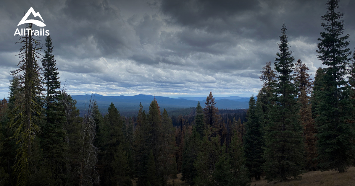 Best Hikes and Trails in Beatty AllTrails