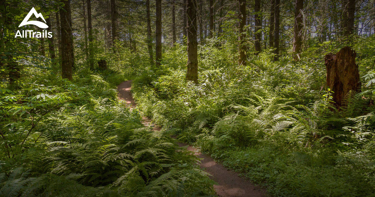 Best trails in Buxton, Oregon AllTrails