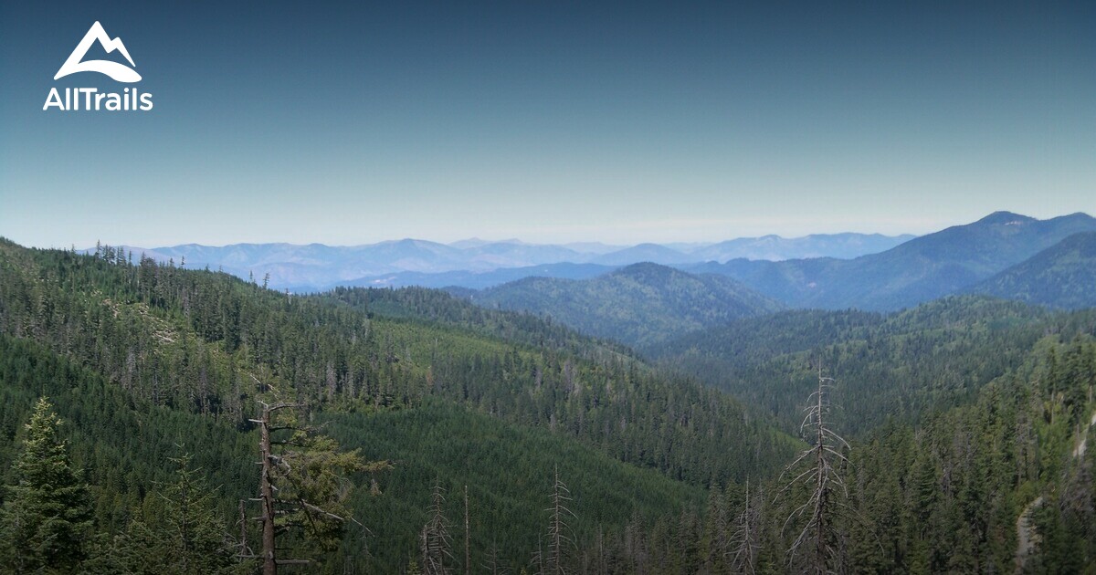 10 Best Trails and Hikes in Cave Junction AllTrails