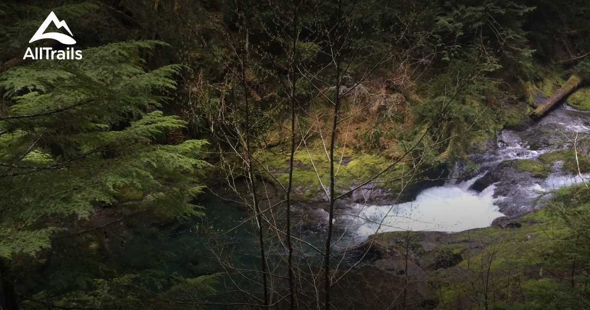 Best Trails near Estacada Oregon 379 Photos & 290 Reviews AllTrails