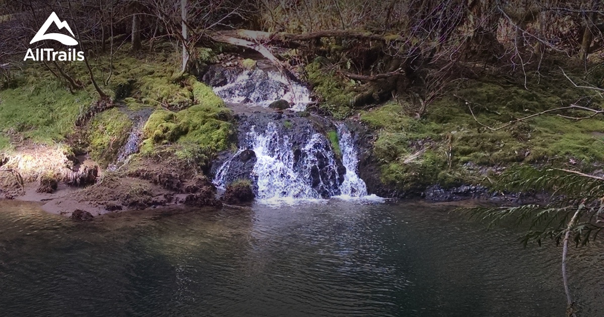 Best Trails near Fall Creek, Oregon