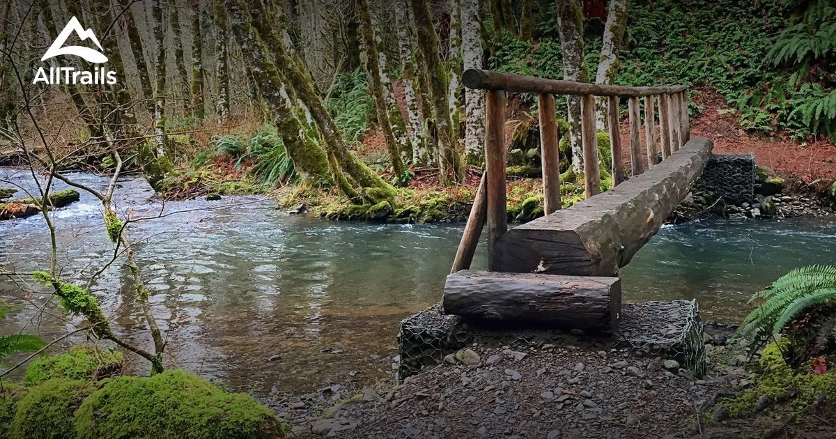 Best Trails near Gales Creek Oregon 131 Photos & 65 Reviews AllTrails
