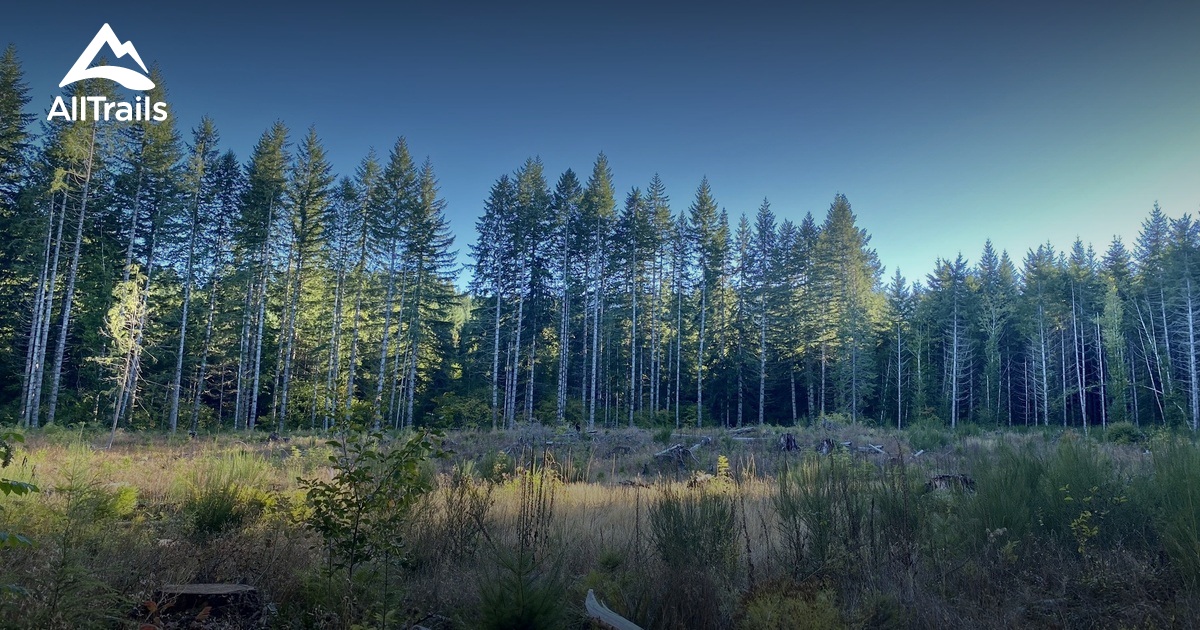 Best Camping Trails in Gales Creek AllTrails